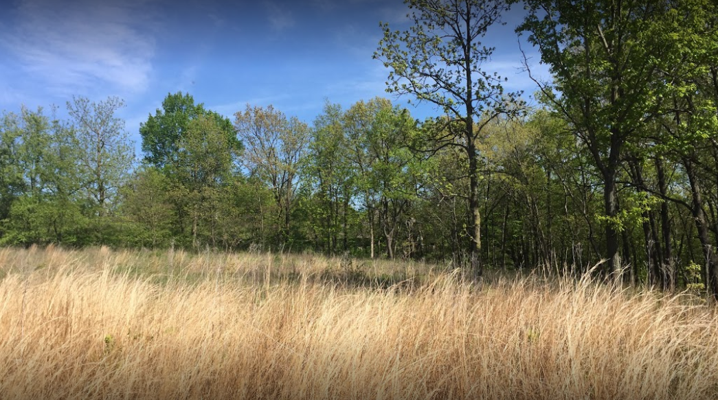 Ridgetop Hill Prairie